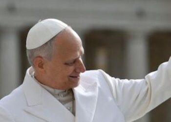 Catequesis del Papa: Que los laicos den testimonio de la fe en la sociedad