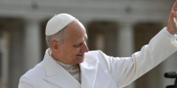 Catequesis del Papa: Que los laicos den testimonio de la fe en la sociedad
