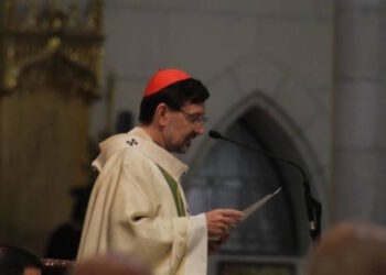 Cardenal Cobo: «La fe comienza cuando descubrimos que Dios nos está buscando»