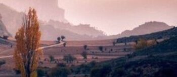 Libros: “El viejo artesano”, una invitación del autor, el profesor jienense de filosofía José Chamorro, a pensar por nosotros mismos