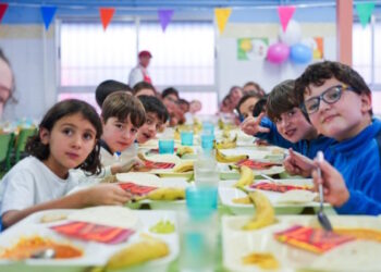 Mañana, miércoles 29, se abre el plazo para solicitar las becas de comedor del curso 2026/27 en Madrid