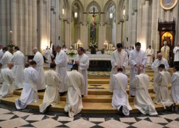 El cardenal José Cobo ordena a 17 sacerdotes que «se han dejado encontrar por Cristo»