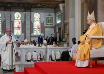 El Papa: Renovar a la humanidad a una comunión de vida desde la fe