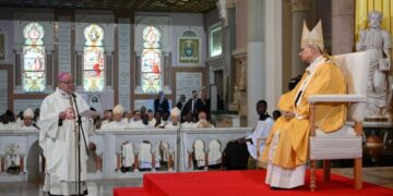 El Papa: Renovar a la humanidad a una comunión de vida desde la fe