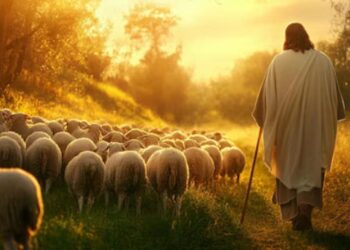 26.4.2026. Domingo 4 de Pascua (A). Liturgia de la Palabra. Lecturas y Homilía: “Jesús, puerta y Pastor”