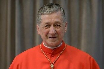 Cupich: la paz no es ausencia de guerra, sino obra de la justicia