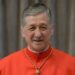 Cupich: la paz no es ausencia de guerra, sino obra de la justicia