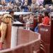 Díaz Ayuso: “Un día como el 2 de Mayo no puede acabar sin su tradicional corrida goyesca”