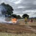 Simulacros para mejorar la respuesta coordinada ante incendios forestales