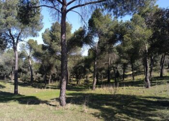 La Dehesa de Majadahonda elegida como punto de observación de fauna por la Comunidad de Madrid