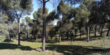 La Dehesa de Majadahonda elegida como punto de observación de fauna por la Comunidad de Madrid