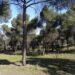La Dehesa de Majadahonda elegida como punto de observación de fauna por la Comunidad de Madrid