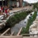 Perú, el vicario apostólico de Iquitos: pueblos indígenas abandonados
