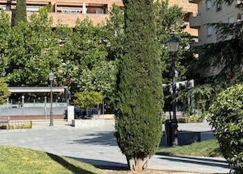 Majadahonda invertirá un 40% más en el mantenimiento y conservación de sus parques y jardines en los próximos 4 años
