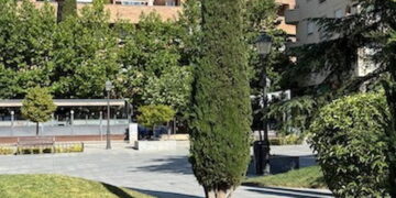 Majadahonda invertirá un 40% más en el mantenimiento y conservación de sus parques y jardines en los próximos 4 años