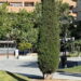 Majadahonda invertirá un 40% más en el mantenimiento y conservación de sus parques y jardines en los próximos 4 años