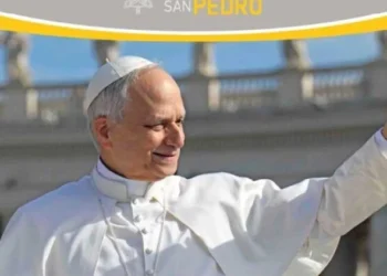 Óbolo de San Pedro: La Jornada de la caridad del Papa