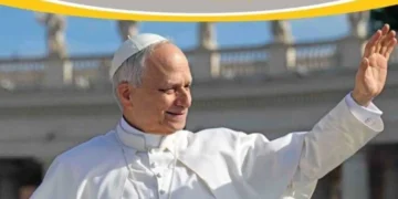 Óbolo de San Pedro: La Jornada de la caridad del Papa
