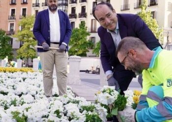 Flores y carteles, Madrid se viste de blanco y amarillo para dar la bienvenida a León