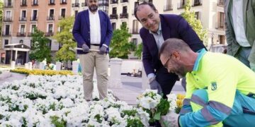Flores y carteles, Madrid se viste de blanco y amarillo para dar la bienvenida a León