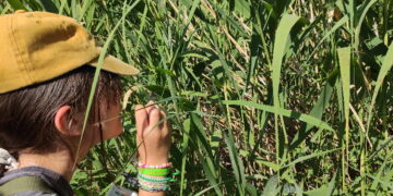 Campamentos infantiles gratuitos en Arroyomolinos para conocer el entorno natural de la región