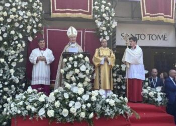 España. El Papa concede el “Lirio de Plata” a la Virgen del Sagrario de Toledo