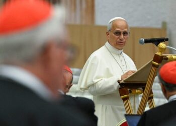 El Papa a los cardenales: Necesito su apoyo firme, franqueza y lealtad