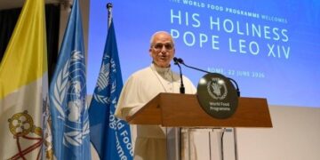 El Papa al PMA: Conflictos «alimentados» con mayor facilidad que las personas