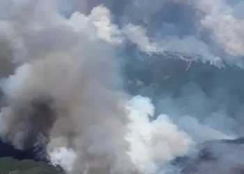 Colaboración de la Comunidad de Madrid con la extinción del incendio de la Mierla en Guadalajara
