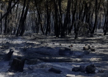 Evolución del incendio forestal de Lozoyuela
