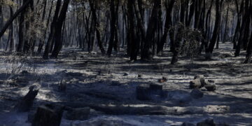 Evolución del incendio forestal de Lozoyuela