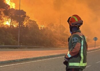 Díaz Ayuso anuncia un Plan de Recuperación Integral para más de 100 kilómetros de carreteras afectadas por los incendios