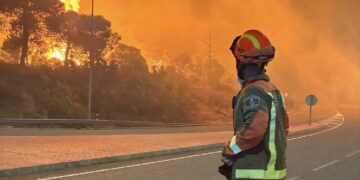 Díaz Ayuso anuncia un Plan de Recuperación Integral para más de 100 kilómetros de carreteras afectadas por los incendios