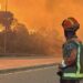 Díaz Ayuso anuncia un Plan de Recuperación Integral para más de 100 kilómetros de carreteras afectadas por los incendios