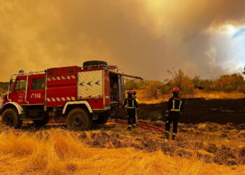 300.000 kilos de forraje para abastecer a las explotaciones ganaderas afectadas por el incendio