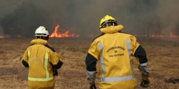 León XIV reza por las víctimas de los incendios en Francia y España