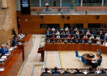 La presidenta de las familias numerosas de Madrid celebra la ley del concebido no nacido