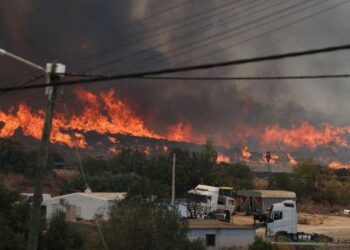 Obispo de Almería se une al dolor por trágico incendio en Bédar