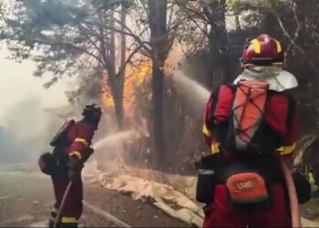 La Comunidad de Madrid facilita alojamiento a 99 personas de 29 familias afectadas por los incendios a través de su Servicio de Emergencia Social