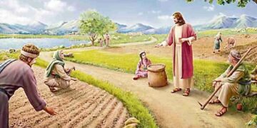 12.7.2026. Domingo 15 del Tiempo Ordinario (A). Liturgia de la Palabra. Lecturas y Homilía: “La semilla de la Palabra”