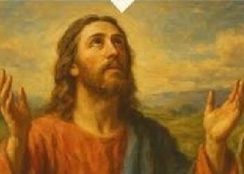 5.7.2026. Domingo 14 del tiempo ordinario (A). Liturgia de la Palabra. Lecturas y Homilía: “La verdadera alegría”