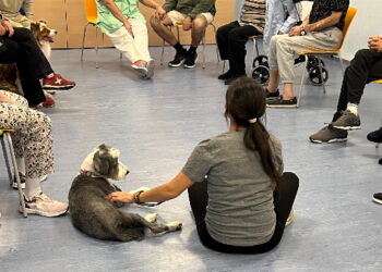 La Comunidad de Madrid, primera región de España en implantar un programa terapéutico con perros para personas con trastorno mental grave