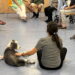 La Comunidad de Madrid, primera región de España en implantar un programa terapéutico con perros para personas con trastorno mental grave