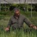 La producción de plantas forestales autóctonas se triplicará para restaurar las zonas afectadas por los incendios de la Sierra Oeste