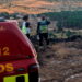 La Comunidad de Madrid ya está formalmente personada como acusación popular en la causa por el incendio forestal de Lozoyuela