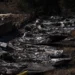 La Comunidad de Madrid recuerda la prohibición del baño y la navegación en el Pantano de San Juan y la Playa del Alberche por los incendios de la Sierra Oeste