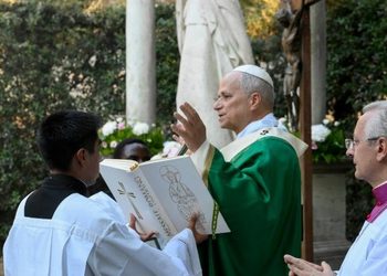 León XIV: Contemplar la creación de Dios es el primer paso hacia la conversión ecológica