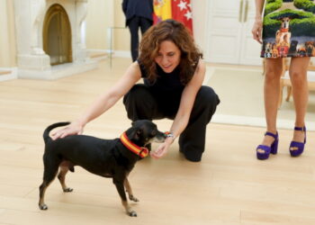 Díaz Ayuso, Premio de Honor de Perrotón Madrid por su compromiso con la adopción de animales de compañía