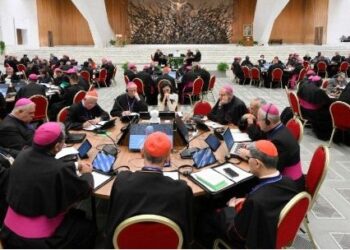 Amoris laetitia. Escuchar las fragilidades de las familias, evitando juicios apresurados