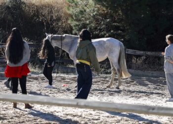 Programa de terapia asistida con caballos para lograr la recuperación de mujeres víctimas de violencia